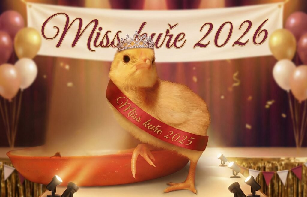 Miss Kuře 2026 – přihlaš své kuřátko a vyhraj!
