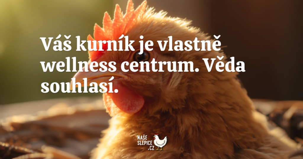 Slepičky snižují stres. A věda s tím souhlasí.