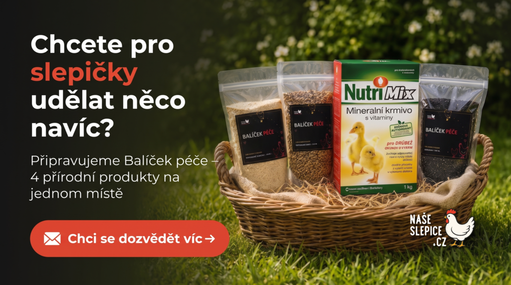 Balíček péče pro slepičky